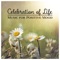 Calm of Breath - Less Stress Music Academy lyrics