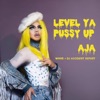 Level Ya Pussy Up (feat. WNNR & DJ Accident Report) - Single artwork