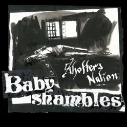 Shotter's Nation - Babyshambles