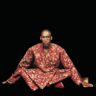 Instant Vintage - Raphael Saadiq