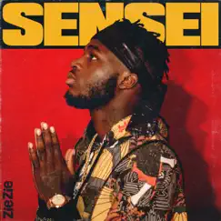 Sensei - Single by ZieZie album reviews, ratings, credits