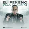 Stream & download Vida de Capo - Single