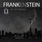 What Does It All Mean - Frankenstein lyrics