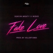 Fake Love (feat. Duncan Mighty & Wizkid) artwork