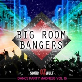 Dance Party Madness, Vol.15: Big Room Bangers artwork