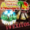 La Pollera Clora - conjunto nuevos acapulco lyrics