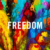 The Shimmer Band - Freedom