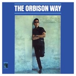 Roy Orbison - Go Away