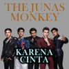 Karena Cinta - Single