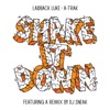 Shake It Down - Single
