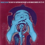 Captain Beefheart & His Magic Bands - frying pan