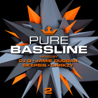 Various Artists - Pure Bassline 2 (Mixed by DJ Q & Jamie Duggan, Skepsis & Darkzy) artwork