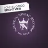 Stream & download Bright View - Single