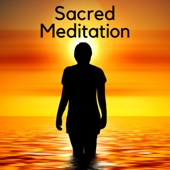 Sacred Meditation: Sleep and Relaxation, Sounds of Nature, Native American Flute & Sounds of Nature artwork