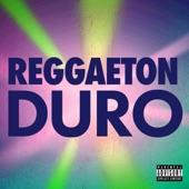 Reggaeton Duro artwork