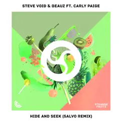 Hide & Seek (feat. Carly Paige) [5ALVO Remix] Song Lyrics
