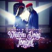 Whatchu Doing Tonight (Remix) [feat. Susu] artwork