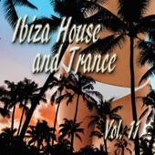 Ibiza House and Trance, Vol. 11 artwork