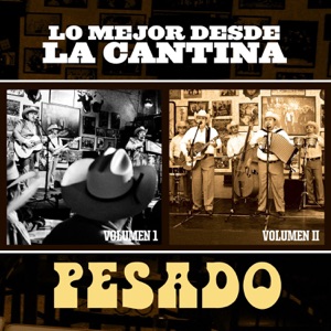 Lo Mejor Desde la Cantina (Live At Nuevo León México - 2009) [Audio Version]