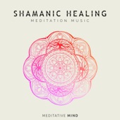 Shamanic Healing Meditation Music artwork