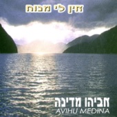 אין לי מנוח artwork