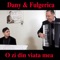 O Zi Din Viata Mea (feat. Constantin Fulgerica) - Dany Pustiu lyrics