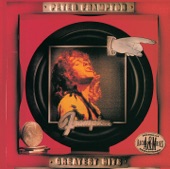 Peter Frampton: Greatest Hits artwork