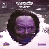 Thundercat - Show You the Way