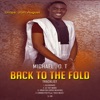 Back to the Fold - EP