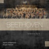 Douglas Bostock, Aalborg Symphony Orchestra & Mathias Hedegaard - Symphony No. 2 in D Major, Op. 36: II. Larghetto