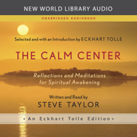 Steve Taylor - The Calm Center: Reflections and Meditations for Spiritual Awakening artwork