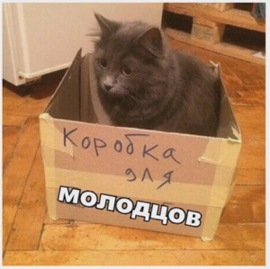 Подкаст Mini