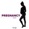 Pregnancy Music album lyrics, reviews, download