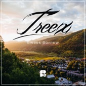 Treex - Le Spleen (Original Mix)