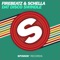 Dat Disco Swindle (Extended Mix) - Firebeatz & Schella lyrics