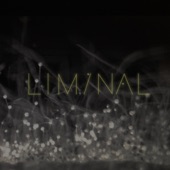 Vatnajökull (Liminal Remix) artwork