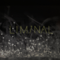 Various Artists - Liminal 2 artwork