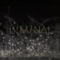 Vatnajökull (Liminal Remix) artwork