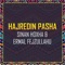 Hajredin Pasha (feat. Ermal Fejzullahu) - Sinan Hoxha lyrics