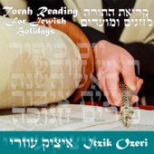 Torah Reading For Holidays (Acoustic) artwork