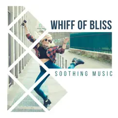Whiff of Bliss - Soothing Music, Meditation Zen, Yoga Exercises, Moonlight Massage, Balance and Relaxation, Chakras Opening by Velvet Touch Music Centre album reviews, ratings, credits