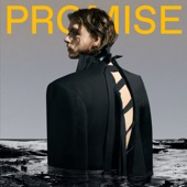 Promise artwork