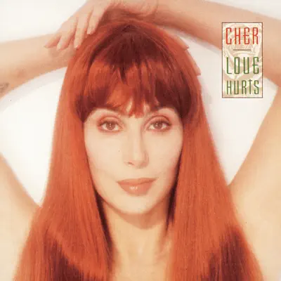 Love Hurts - Cher
