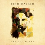 Seth Walker - All I Need to Know