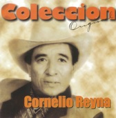 Cornelio Reyna - Si tú supieras