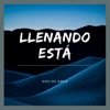 Llenando Esta - Single