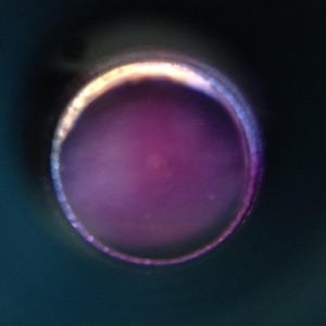 Glow (feat. Rival Consoles) - Single