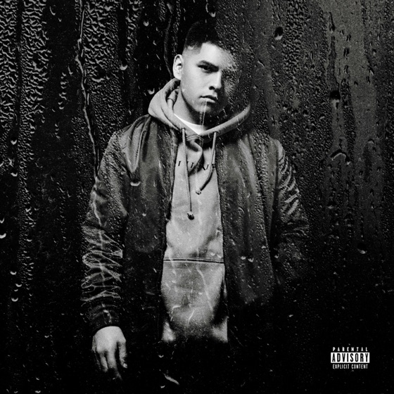 Cover artwork for Whip It