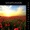 Abbas Premjee - Bodhi Bliss