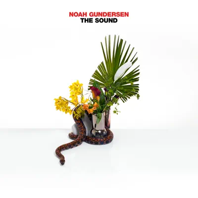 The Sound - 7 Layers Sessions - Single - Noah Gundersen